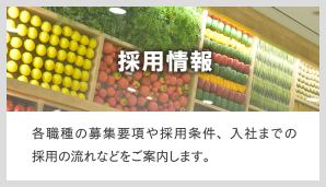 採用情報